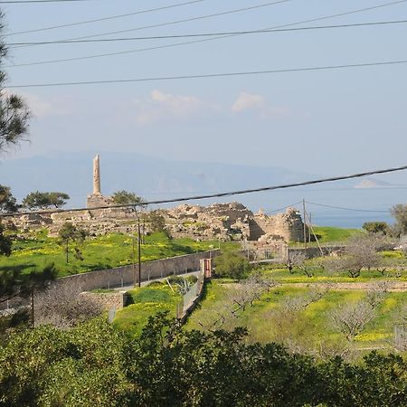 Kalokenti Studios Aegina Habitación foto